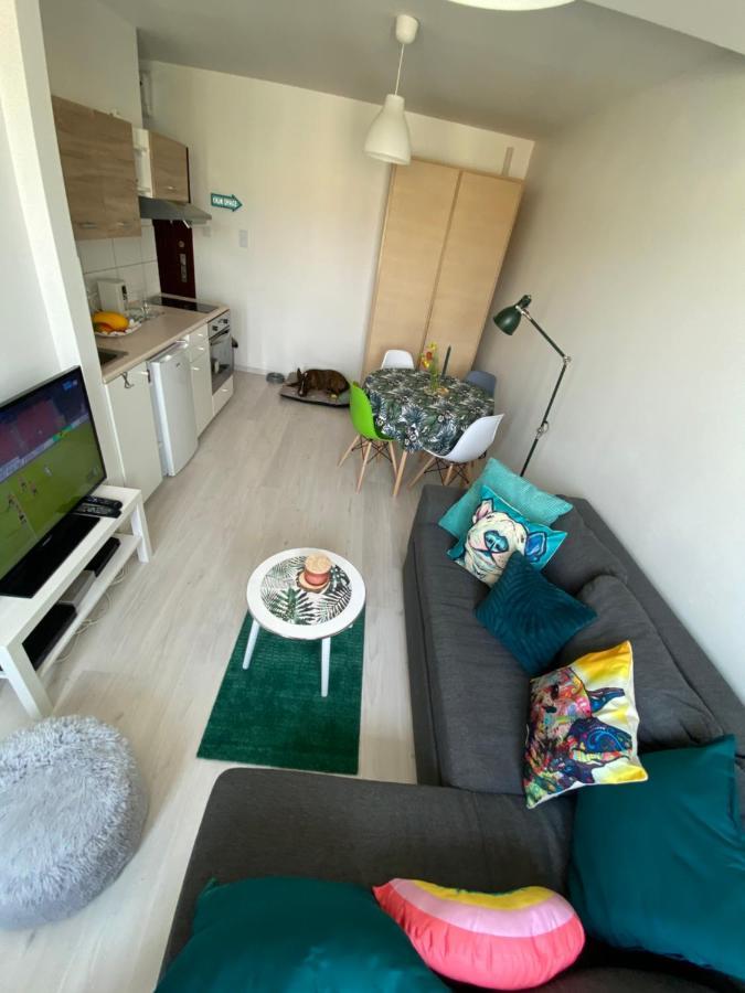 Nasze Brzezno Apartment Gdansk Luaran gambar